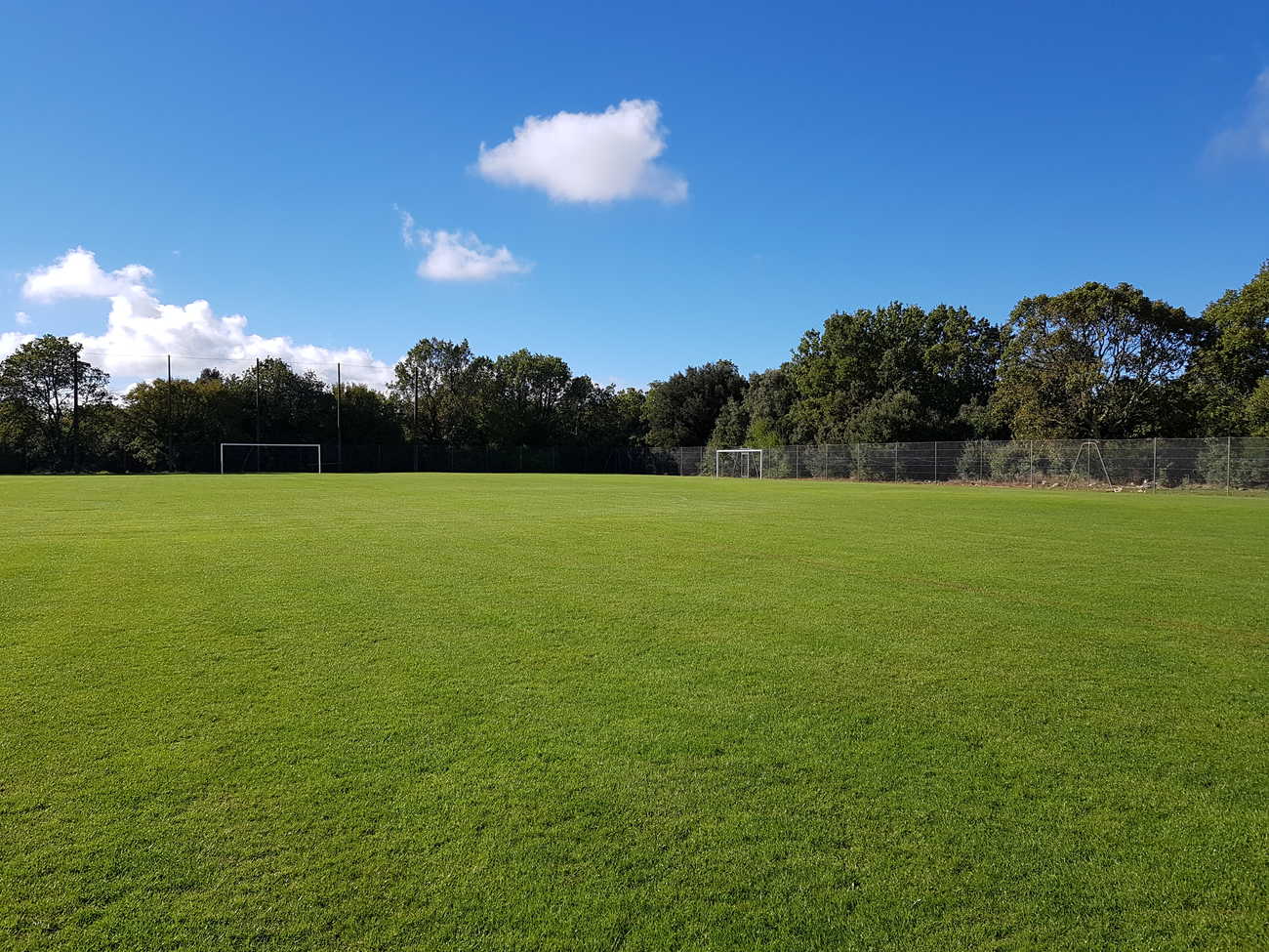 Vue du stade en herbe