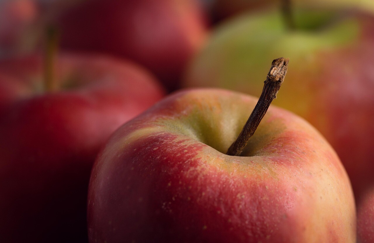Gros plan dune pomme pour mettre laccent sur nos engagement qualité : produits locaux et bio, label Ecocert et fait maison